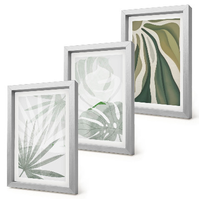 Conjunto de molduras com imagens Folhas de plantas em tons de verde e cinza.