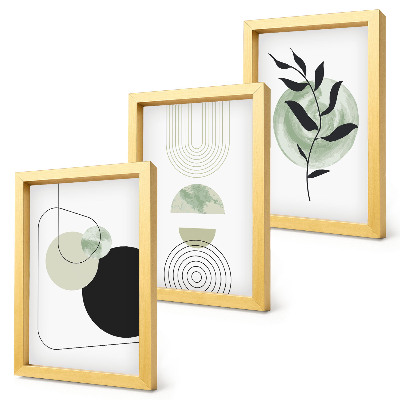 Conjunto de molduras com imagens Formas abstratas e motivos vegetais em verde.