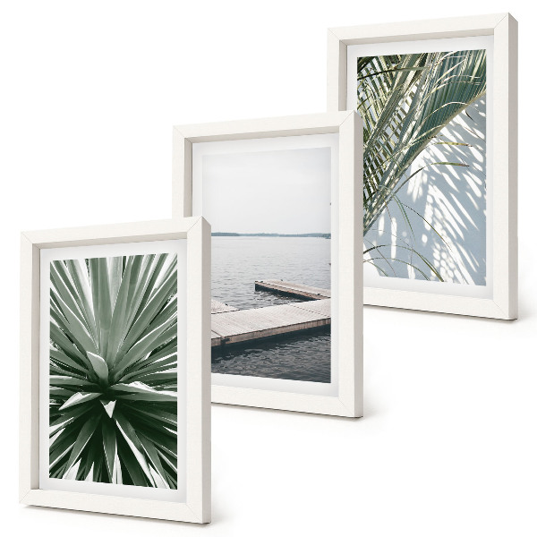 Conjunto de molduras com imagens Planta com folhas de palmeira e píer de madeira