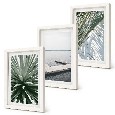 Conjunto de molduras com imagens Planta com folhas de palmeira e píer de madeira