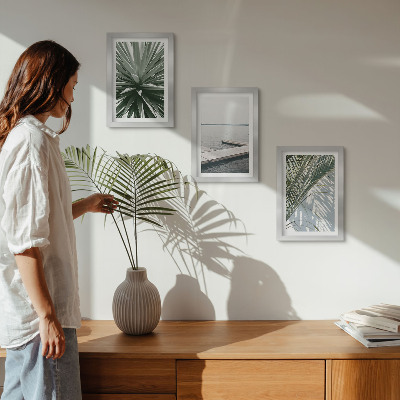 Conjunto de molduras com imagens Planta com folhas de palmeira e píer de madeira