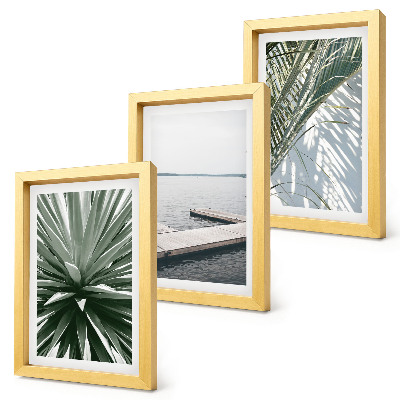 Conjunto de molduras com imagens Planta com folhas de palmeira e píer de madeira