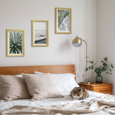 Conjunto de molduras com imagens Planta com folhas de palmeira e píer de madeira