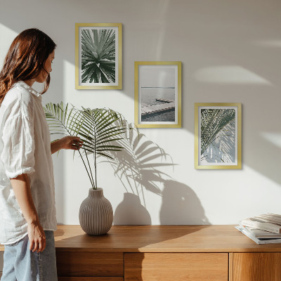 Conjunto de molduras com imagens Planta com folhas de palmeira e píer de madeira