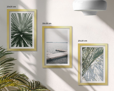 Conjunto de molduras com imagens Planta com folhas de palmeira e píer de madeira