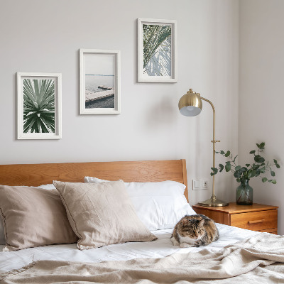 Conjunto de molduras com imagens Planta com folhas de palmeira e píer de madeira