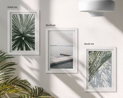 Conjunto de molduras com imagens Planta com folhas de palmeira e píer de madeira
