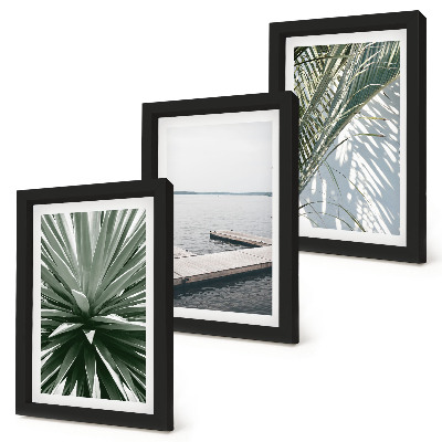 Conjunto de molduras com imagens Planta com folhas de palmeira e píer de madeira