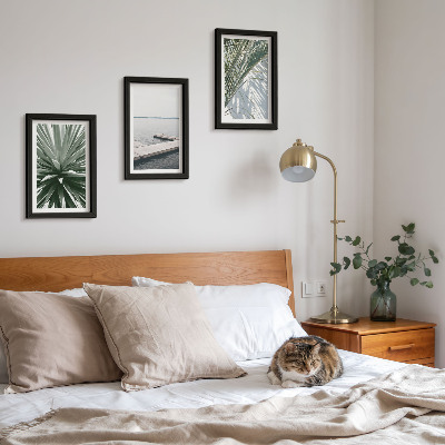 Conjunto de molduras com imagens Planta com folhas de palmeira e píer de madeira