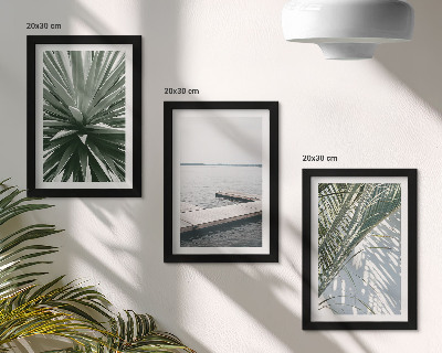 Conjunto de molduras com imagens Planta com folhas de palmeira e píer de madeira