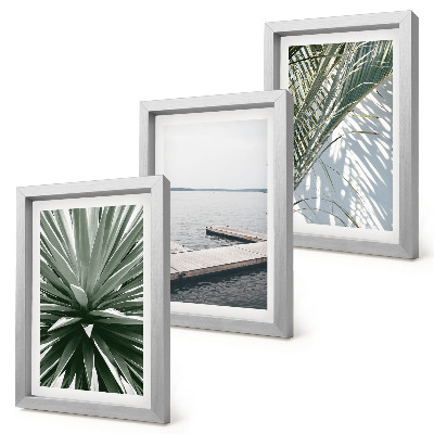 Conjunto de molduras com imagens Planta com folhas de palmeira e píer de madeira