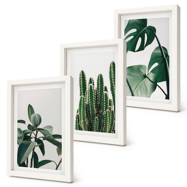 Tríptico com moldura Folhas estéticas de plantas tropicais de interior