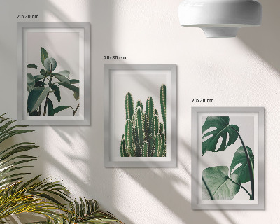 Tríptico com moldura Folhas estéticas de plantas tropicais de interior