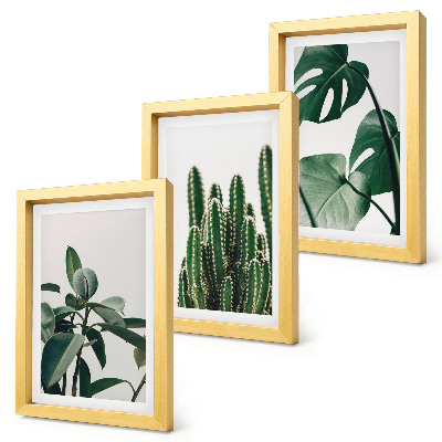 Tríptico com moldura Folhas estéticas de plantas tropicais de interior