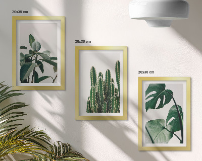 Tríptico com moldura Folhas estéticas de plantas tropicais de interior
