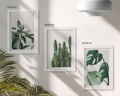 Tríptico com moldura Folhas estéticas de plantas tropicais de interior