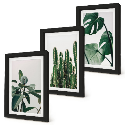Tríptico com moldura Folhas estéticas de plantas tropicais de interior