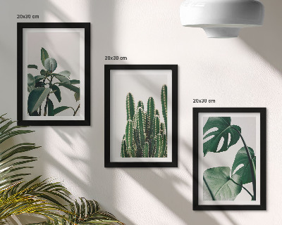Tríptico com moldura Folhas estéticas de plantas tropicais de interior