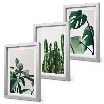 Tríptico com moldura Folhas estéticas de plantas tropicais de interior