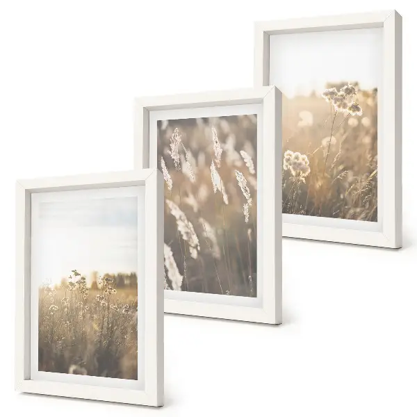 Conjunto de 3 quadros decorativos com paisagem de gramíneas e flores em tons quentes