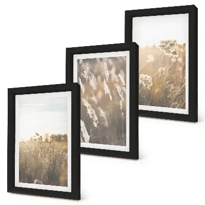 Conjunto de 3 quadros decorativos com paisagem de gramíneas e flores em tons quentes