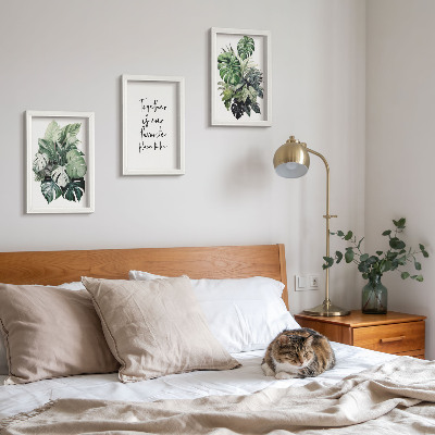 Conjunto de molduras com imagens Folhas verdes de plantas tropicais com inscrição decorativa