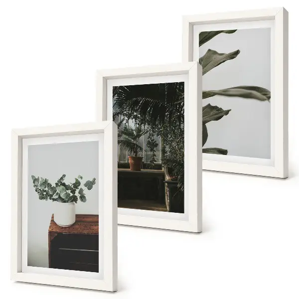 Tríptico de plantas em vasos com folhas rústicas com moldura
