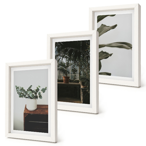 Tríptico com moldura Plantas em vasos com folhas rústicas