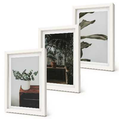 Tríptico com moldura Plantas em vasos com folhas rústicas