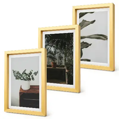 Tríptico de plantas em vasos com folhas rústicas com moldura