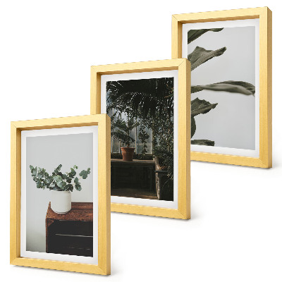 Tríptico com moldura Plantas em vasos com folhas rústicas