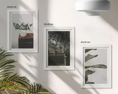 Tríptico de plantas em vasos com folhas rústicas com moldura