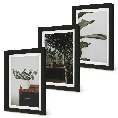 Tríptico de plantas em vasos com folhas rústicas com moldura