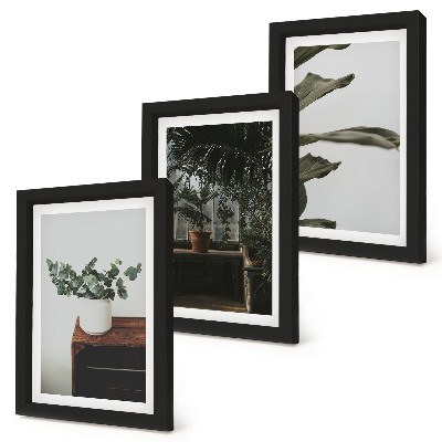 Tríptico com moldura Plantas em vasos com folhas rústicas