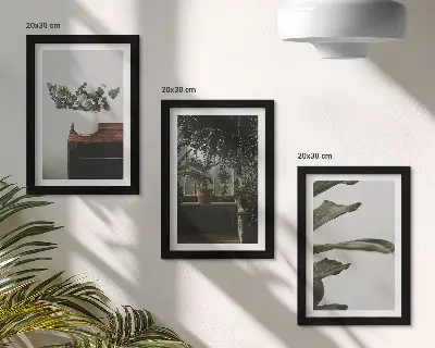 Tríptico de plantas em vasos com folhas rústicas com moldura