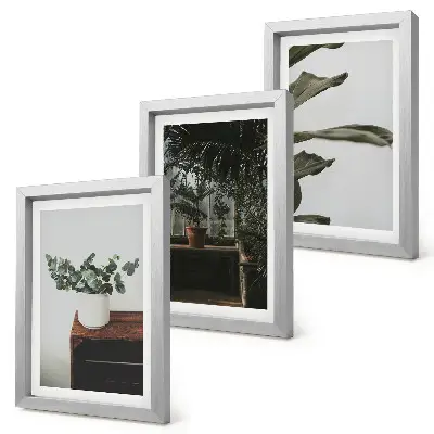 Tríptico de plantas em vasos com folhas rústicas com moldura