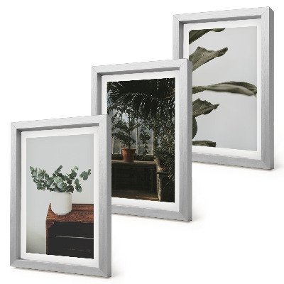 Tríptico com moldura Plantas em vasos com folhas rústicas