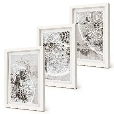 Conjunto de molduras com imagens com padrões de veios de madeira em tons de cinza e branco