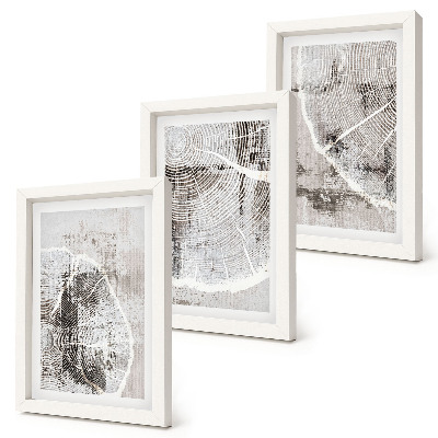Conjunto de molduras com imagens Padrões de veios de madeira em tons de cinza e branco.