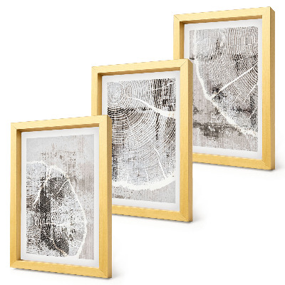 Conjunto de molduras com imagens Padrões de veios de madeira em tons de cinza e branco.