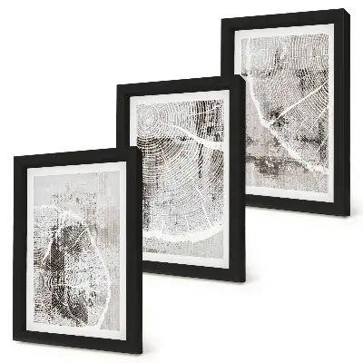 Conjunto de molduras com imagens com padrões de veios de madeira em tons de cinza e branco