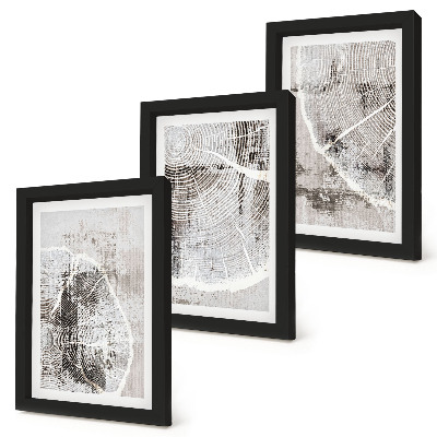 Conjunto de molduras com imagens Padrões de veios de madeira em tons de cinza e branco.