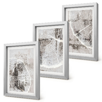Conjunto de molduras com imagens Padrões de veios de madeira em tons de cinza e branco.