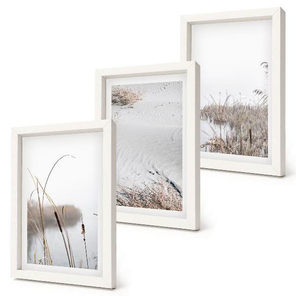 Conjunto de 3 quadros decorativos Vegetação aquática, vistas delicadas de verão.
