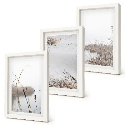 Conjunto de 3 quadros decorativos com temática de vegetação aquática em tons delicados de verão