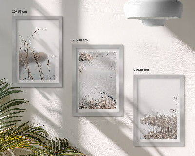 Conjunto de 3 quadros decorativos Vegetação aquática, vistas delicadas de verão.