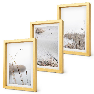 Conjunto de 3 quadros decorativos Vegetação aquática, vistas delicadas de verão.