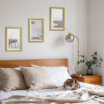 Conjunto de 3 quadros decorativos Vegetação aquática, vistas delicadas de verão.