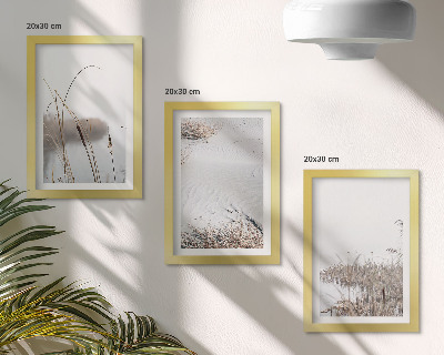 Conjunto de 3 quadros decorativos Vegetação aquática, vistas delicadas de verão.