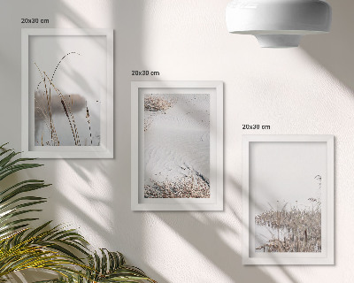 Conjunto de 3 quadros decorativos Vegetação aquática, vistas delicadas de verão.